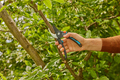 Gardena beskjæringssaks PremiumCut Pro